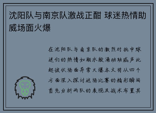 沈阳队与南京队激战正酣 球迷热情助威场面火爆