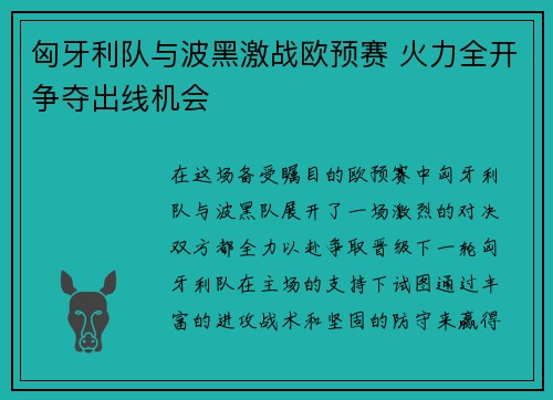 匈牙利队与波黑激战欧预赛 火力全开争夺出线机会