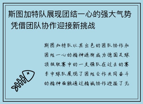 斯图加特队展现团结一心的强大气势 凭借团队协作迎接新挑战