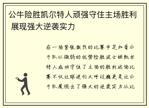 公牛险胜凯尔特人顽强守住主场胜利 展现强大逆袭实力