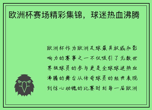 欧洲杯赛场精彩集锦，球迷热血沸腾